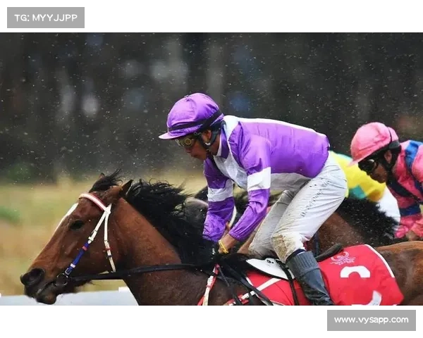 速度赛马标准出台